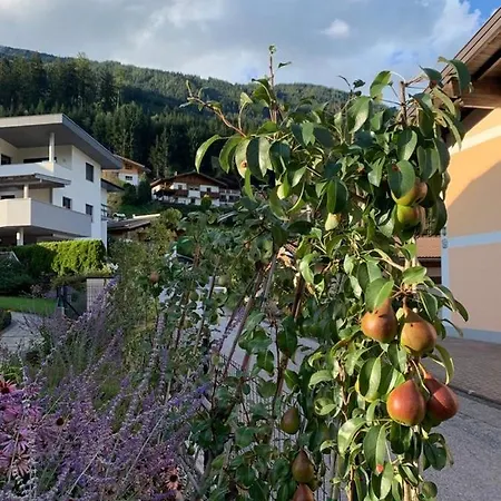 Wald Appartement *
