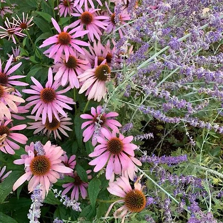 Wald Apartman Wald im Pinzgau