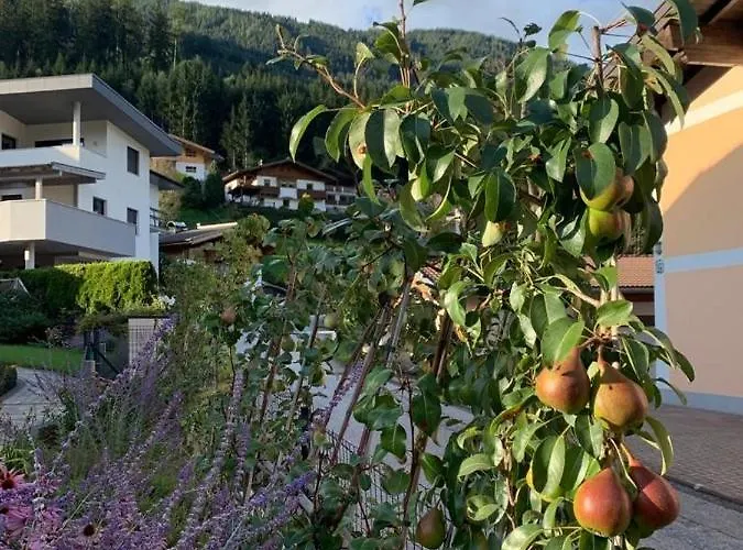 Wald Appartamento *
