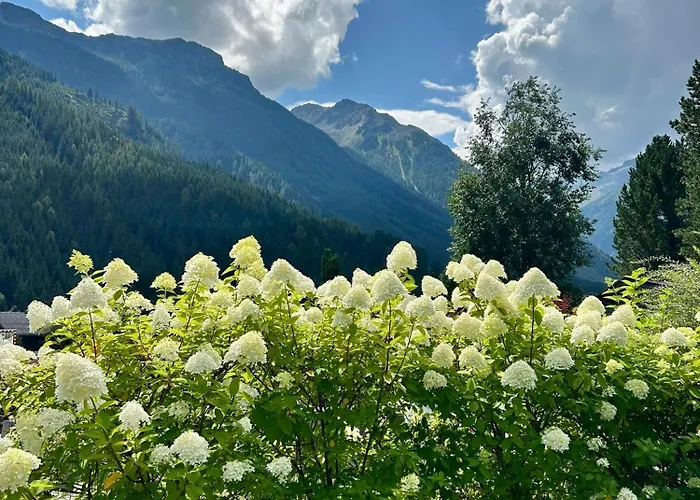 Appartamento Wald Wald im Pinzgau